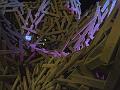 Man Base brambles from on high, night-4